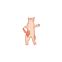 Cat What Sticker