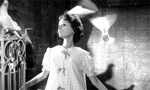 marsplastic eyes without a face edith scob GIF