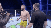 Sport Mma GIF by UFC