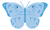 Butterfly Emilyley Sticker by Simplified