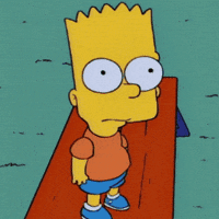 The Simpsons What GIF