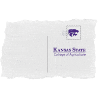 ksuAg agriculture k-state kansas state university coa Sticker