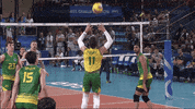 Happy Fun GIF by Volleyball World