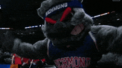 Womens Basketball Sport GIF by NCAA March Madness
