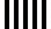 Football Win GIF by SK Sturm Graz