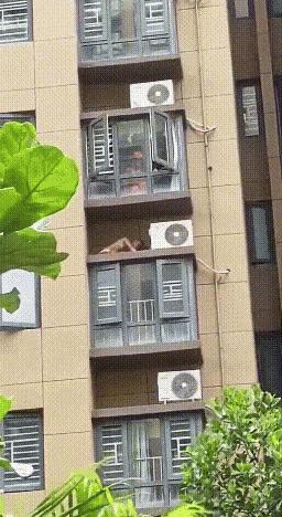 c742c96ae50b453ca3fb75a1c5021c8c giphyupload GIF