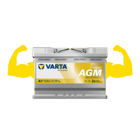 Power Duty Sticker by VARTA Automotive