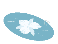 Pool Hawaii Sticker by Halekulani