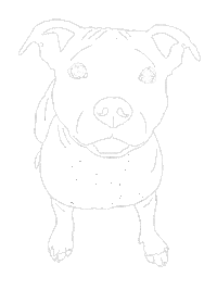 laurensalisbury dog puppy staffy letti Sticker