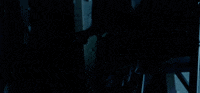 Purenoise GIF by Pure Noise Records