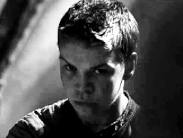 maze runner GIF
