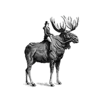 Red Wine Cheers Sticker by Archer Roose