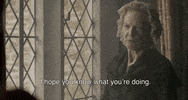 hope you know what you're doing aunt agatha GIF by MASTERPIECE | PBS