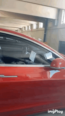 insight1 giphyupload GIF