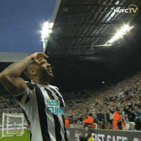 Newcastle United Wilson GIF by Newcastle United Football Club