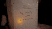 GIF by The James Agency