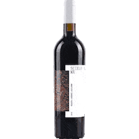 Pueblo Magico Wine Sticker by rgmx.mx