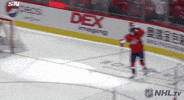 Happy Ice Hockey GIF by NHL