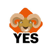 Chihuahua Yes Sticker by Grupo Cimarron