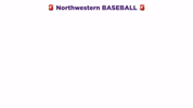 Rahhhh GIF by Northwestern Athletics