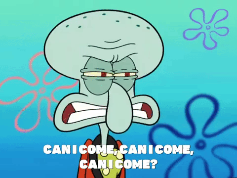 season 6 porous pockets GIF by SpongeBob SquarePants