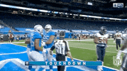 Detroit Lions Football GIF by NFL