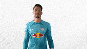 Oh Yeah Yes GIF by RB Leipzig