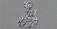 harvardmed science research harvard medical school GIF