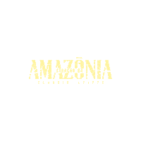 carnaval coracao da amazonia Sticker by Claudia Leitte