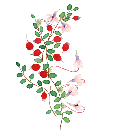 Plant Finland Sticker by Payot