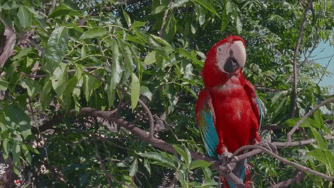 GIF by Sony Music Colombia