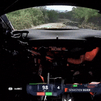 Safari Rally Motorsport GIF by FIA World Rally Championship