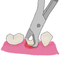 Teeth Dentist Sticker