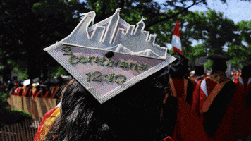 StJohnsU st johns stjohns st johns university GIF