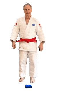 Martial Arts Judo Sticker by NA Effective Fighting