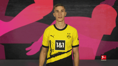 Borussia Dortmund Football GIF by Bundesliga