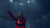 Circus Carousel GIF by SLANG