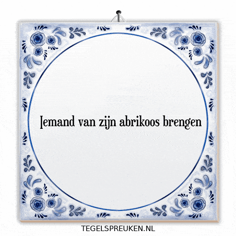 Humor Wijsheid GIF by Tegelspreuken.nl