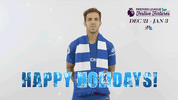 premier league GIF by NBC Sports Soccer
