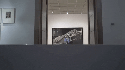 Black And White Art GIF by Brooklyn Museum
