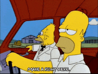 homer simpson episode 10 GIF