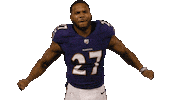 Football Nfl Sticker by Baltimore Ravens