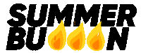 Summer Fire Sticker by Fiit