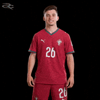 Cristiano Ronaldo Portugal GIF by Respective