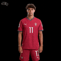 Cristiano Ronaldo Portugal GIF by Respective
