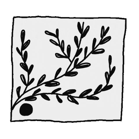 Black And White Frame Sticker