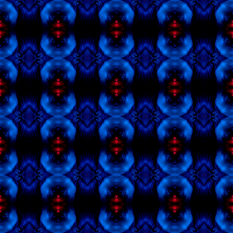 mavtobar giphyupload kaleidoscope touchdesigner GIF