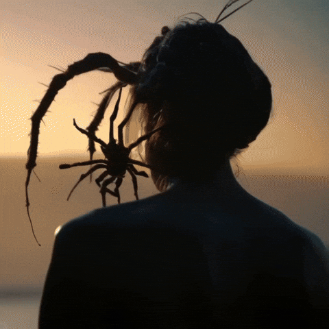 Spiders Thegame23 GIF by Komplex