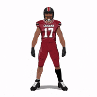 South Carolina Gamecocks Football GIF by Panini America