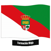Castilla Y Leon Flag Sticker by Formación Ninja